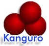 ”Kanguro” Canica de Tamarindo con chile
